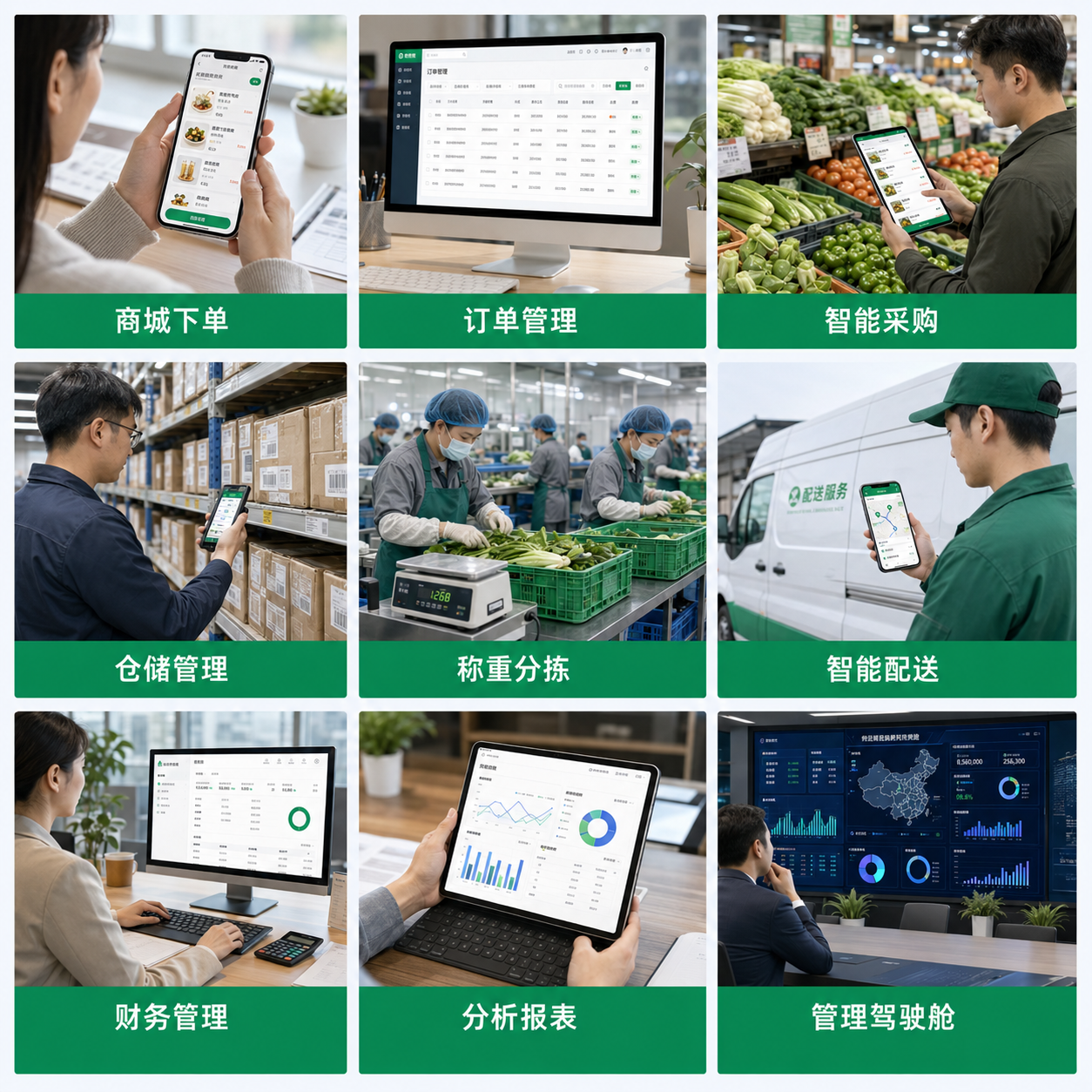 港软云覆盖订货、采购、仓储、分拣、财务与经营驾驶舱的业务场景